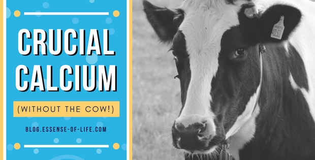 Crucial Calcium (Without the Cow!) at blog.essense-of-life.com