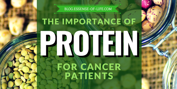 The Importance of Protein for Cancer Patients at blog.essense-of-life.com