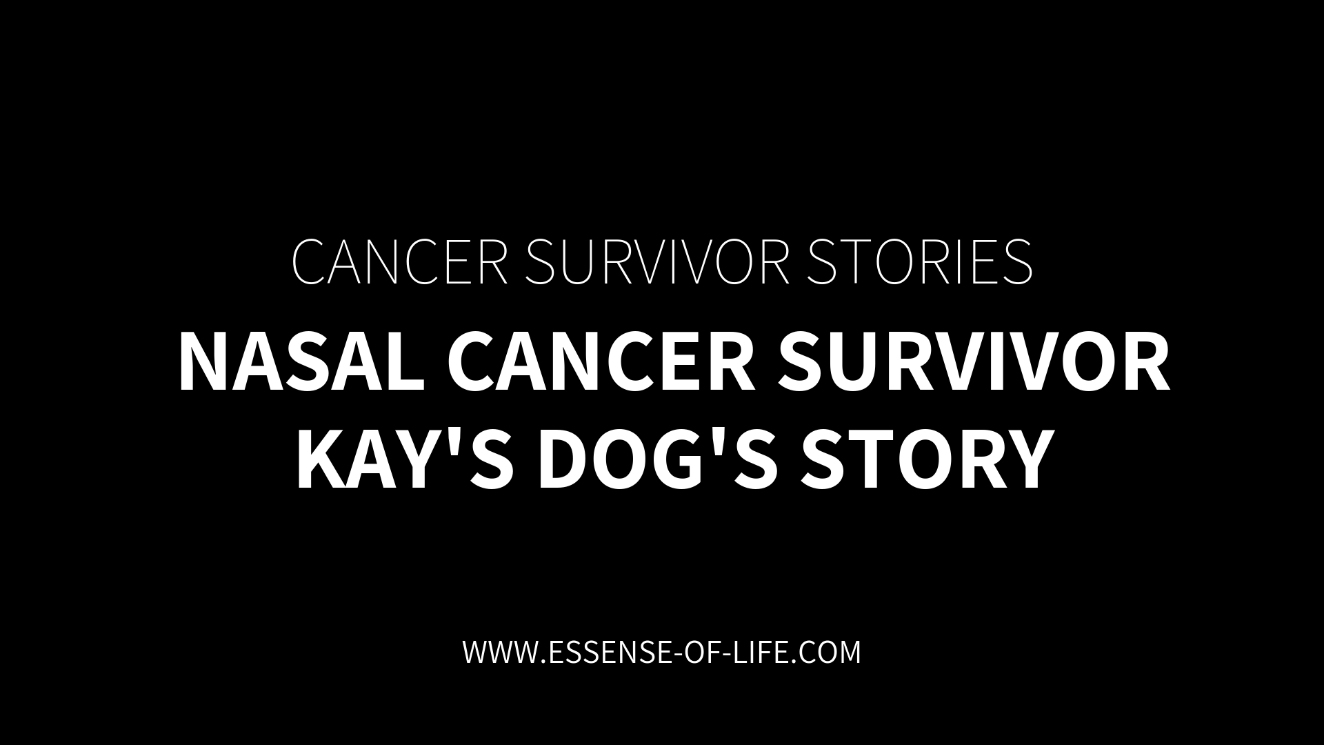 Canine Nasal Cancer Survivor