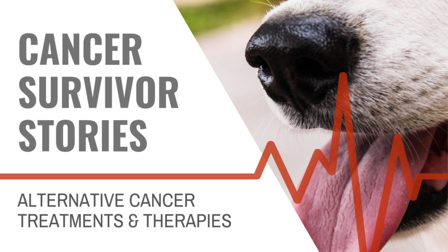 Pet Cancer Survivor Stories at blog.essense-of-life.com