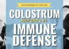 Colostrum: Natural Immune Defense