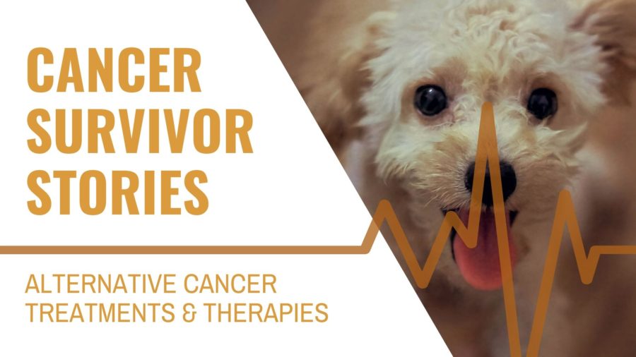 Lymphoma Cancer Survivor — Ann's Dog's Story
