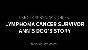 Lymphoma Cancer Survivor—Ann's Dog's Story