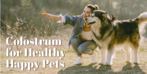Colostrum for Healthy Pets
